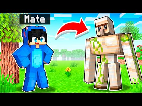 I Pranked My Friend As Iron Golem in Minecraft