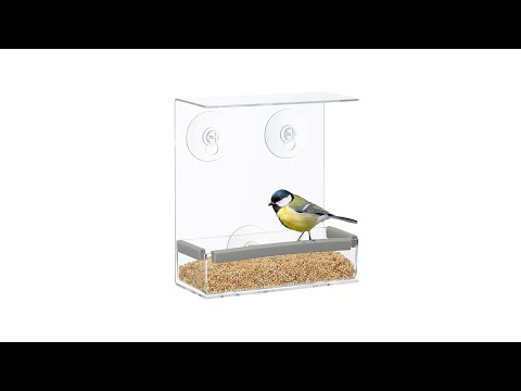 Mangeoire à oiseaux pour fenêtre Gris - Matière plastique - 15 x 17 x 8 cm