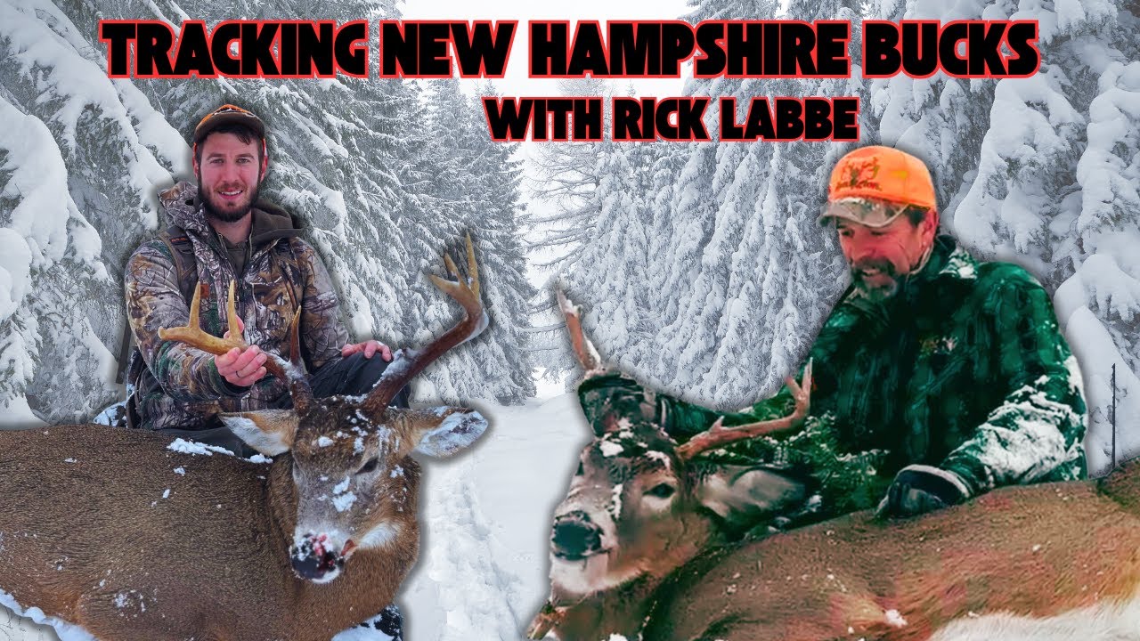 Tracking Mature Bucks in New Hampshire with Rick Labbe and Levi Murray: Two Bucks Down!!!
