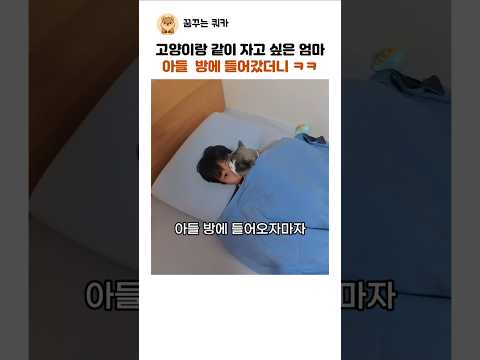 고양이와 자고 싶은 엄마가 아들 방에 갔더니 ㅋㅋ