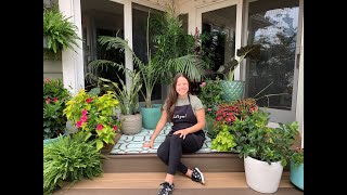 Let's Grow: Creating a Tropical Oasis ENGLISH GARDENS
