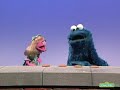 Sesame Street The First And Last Cookie Season 25 1994 First Appearance Episode 3224