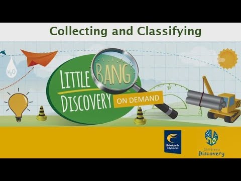 Little Bang Science club: Collecting and Classifying