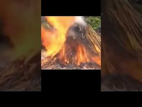 Zangbeto set on fire