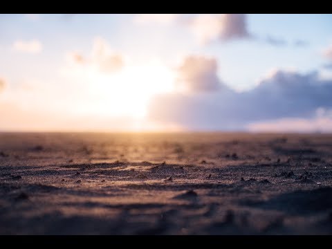 Flowers And Sea Creatures - Color The Rain (Eins Tiefer Remix) [Atlant Recordings]