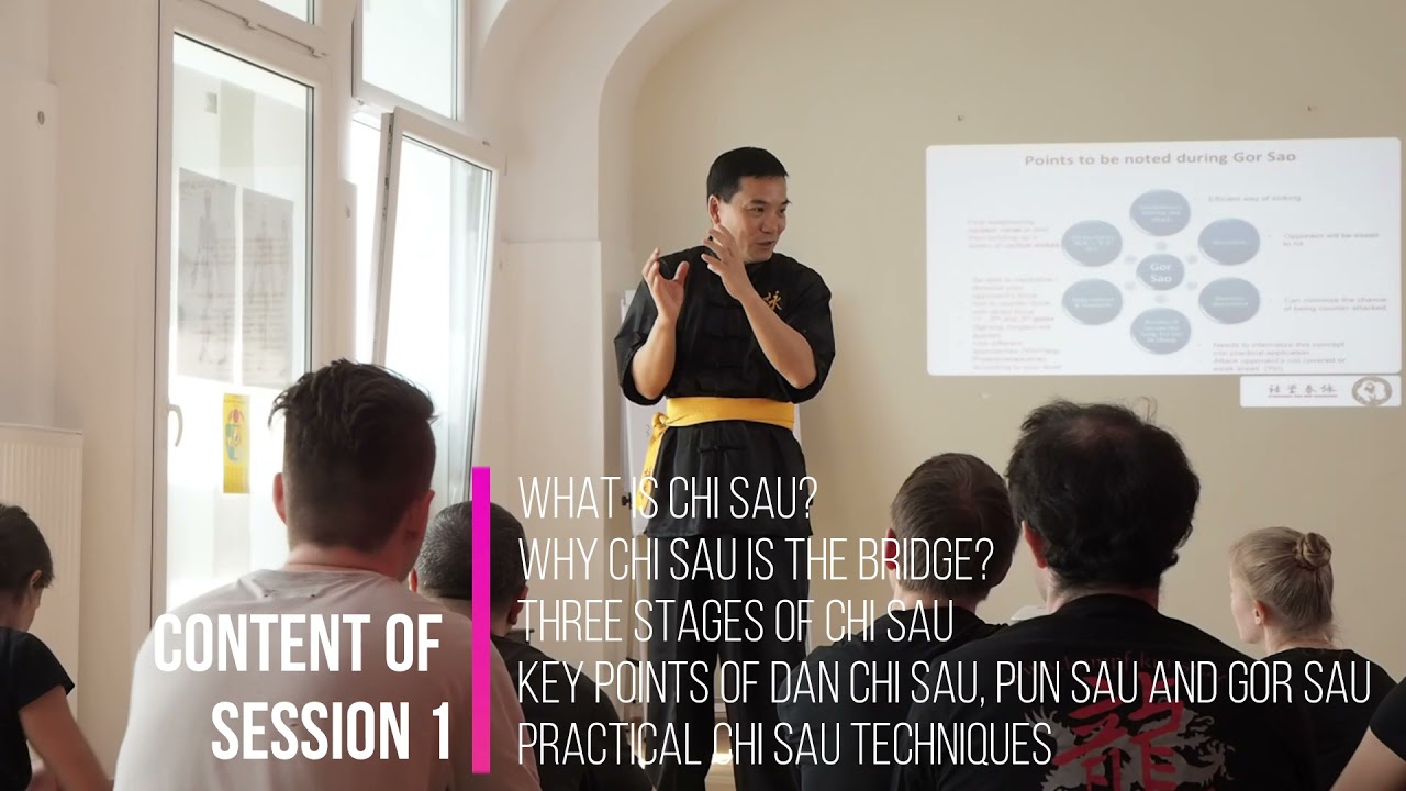 Upcoming online course on Chi Sao with Grand Master Donald Mak