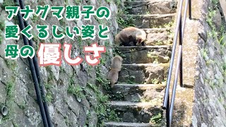 Attach YouTube