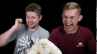 Warning: Video Contains Extreme Laughter: We Try Out the Halloween Candy on The Big Kids