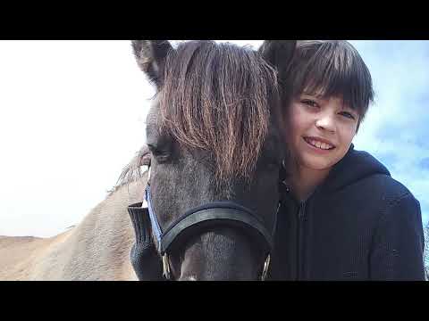 "auf dem Rücken der Pferde" das Foto- und Musikprojekt mit Pferden als Film