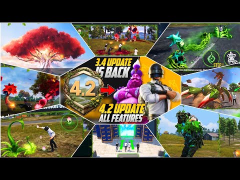 PASHTON YT and PASHTON 