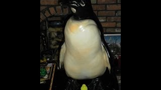 giant man-eating emperor penguin