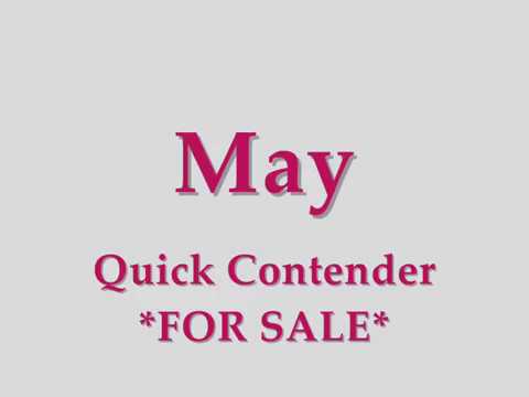 Dressage Horse FOR SALE - Quick Contender Mare