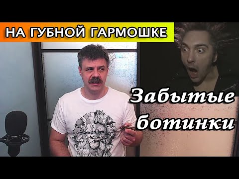 Забытые ботинки на губной гармошке (кавер КиШ)