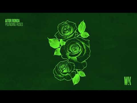 Aitor Ronda - Pounding Roses (Original Mix)