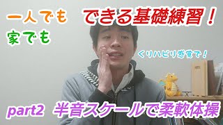 【ホルン講座】半音スケールを使った柔軟体操【基礎練習】