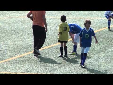 TuS 1860 Neustadt II  15 : 0  SV Fortuna Magdeburg II