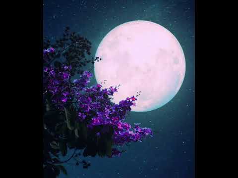 HoonJr ft. kmë- Moonrise Conversations