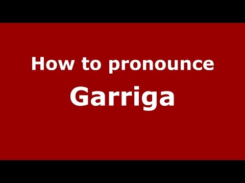 How to pronounce Garriga (Spanish/Argentina) - PronounceNames.com