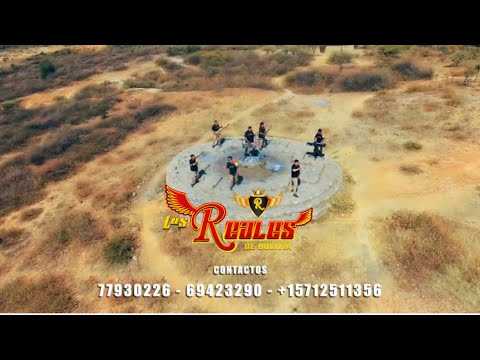 Los Reales de Bolivia 🇧🇴                                           Sufrir y Llorar   Primicia 2022