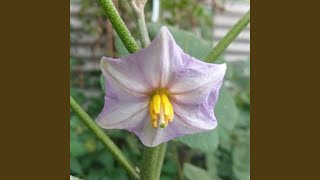 Download lagu Jika Ada Kamu mp3