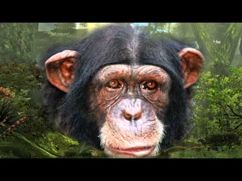 ARGEMA - ŠPINAVÝ ZÁDA