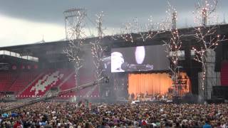 Arms of salvation - Common linnets