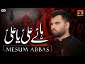 Haye Ali Ya Ali Mesum Abbas Nohay Moharram TP Muharram