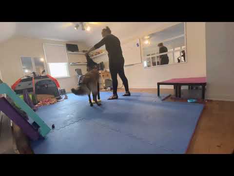 2021 0714 Dizzy Training