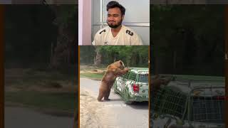 Try to don’t laughing #funnyanimal #funnyanimals #cuteanimals #animals #funnything
