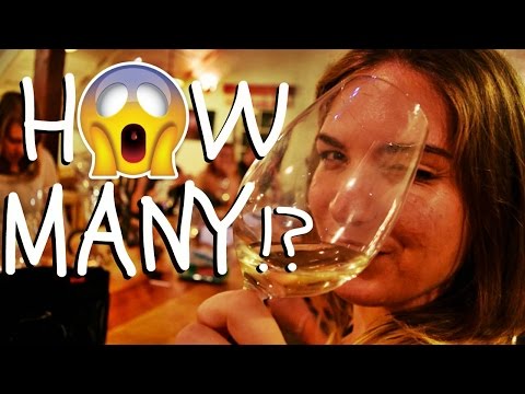 We had HOW MANY glasses of Wine!? | Daily Vlog 155, Big Berry Glamping, Bela krajina, Slovenia, HD