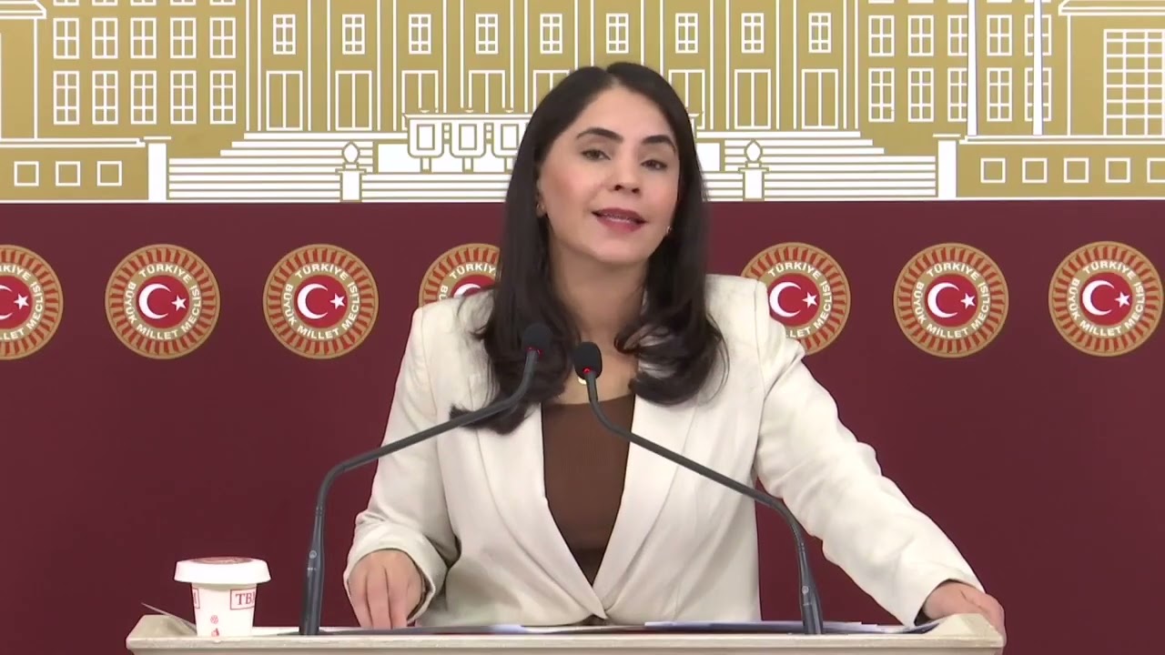 DEM Parti Şırnak Milletvekili Nevroz Uysal Aslan: Ölüm Yolu İçin Bütçe Var, Proje Hazır: Peki Neden Başlanmıyor?