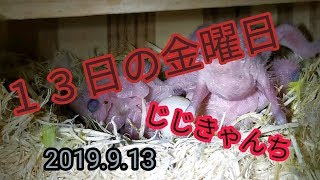 『今日』は3ペア🐣