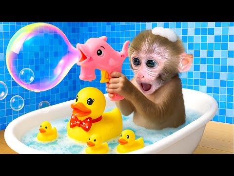 Bebé Mono BonBon crea grandes bolas de arcoíris y corre con el patito adorable - Mono HT Esp