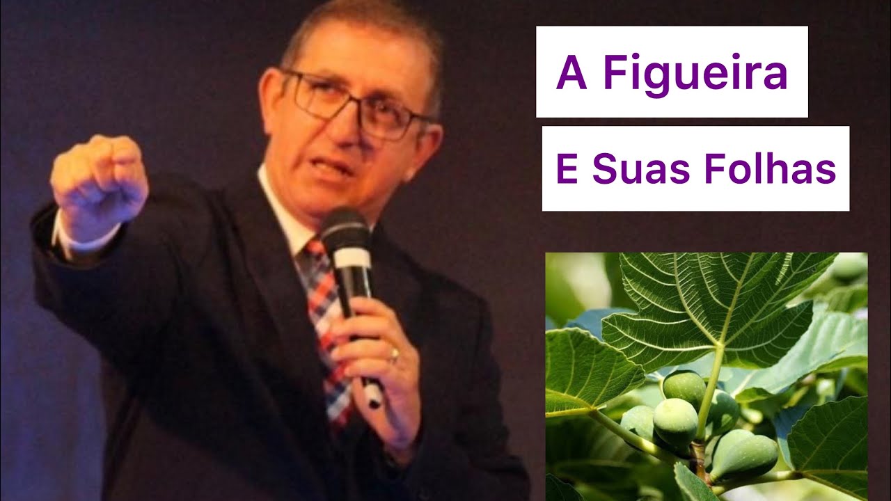 AS LIÇÕES DA FIGUEIRA AMALDIÇOADA