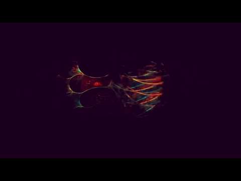 download lagu mp3 mp4 Track Store Rosario, download lagu Track Store Rosario gratis, unduh video klip Track Store Rosario