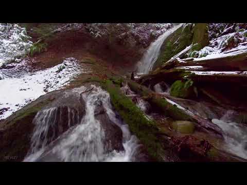 Kabaret Starszych Panów Kalina Jędrusik Jeremi Przybora - W zimowym parku