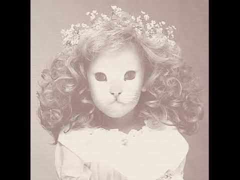 Destroy a New Hour (Mr Kitty Mashup)