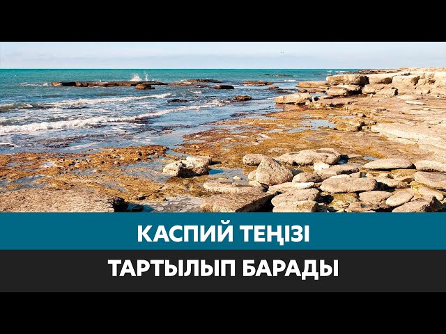 Каспийдің болашағы – ортақ жауапкершілік