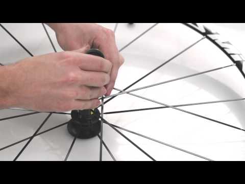 Install a 2013 Mavic FTSL Freehub body