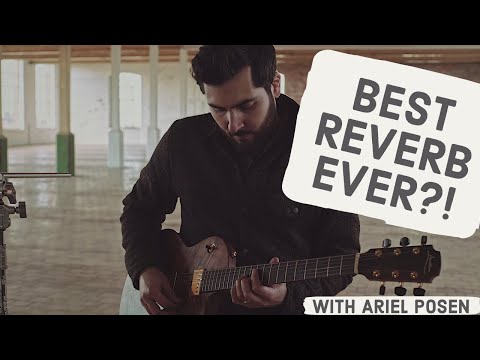 BEST REVERB EVER?! Ft. Ariel Posen