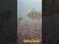 Video Thumbnail for Perch chokes with the bait #like #subscribe #shorts  #comment