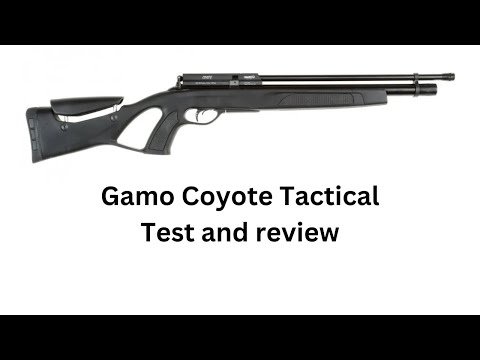 Gamo Coyote Tactical Test and review