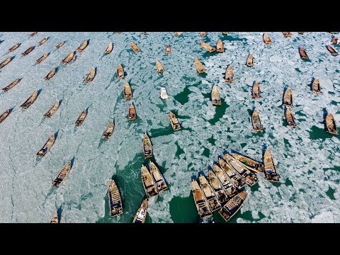 Желтое море замерзло