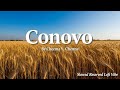 Conovo Slowed Reverb Chinna X Cheema Y Gur Sidhu Lofi Vibe
