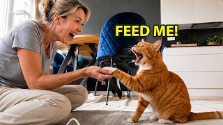 This Cat DEMANDED Food... Then Started Talking! 😹🗣️ | Funny Talking Cat Moments