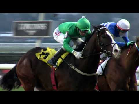 220710 c09 Asociación Propietarios/ TONIBILLY