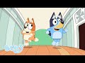 Bluey Säsong 1 Fullständiga Avsnitt Bluey Officiella Svenska Kanalen