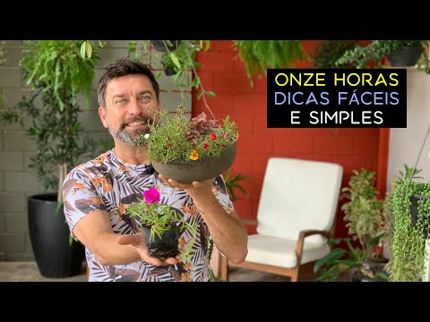 Eleven Hours Easy and Simple Tips