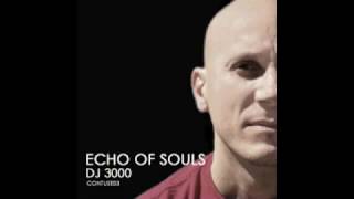 DJ 3000 - Echo Of Souls