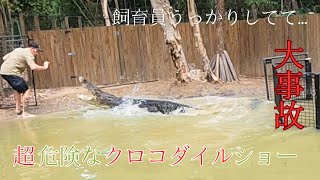 【ノーカット】Crocodile Attack Show of Heartley's Crocodile Adventure | ケアンズ最大ワニ園のショー